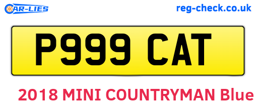 P999CAT are the vehicle registration plates.