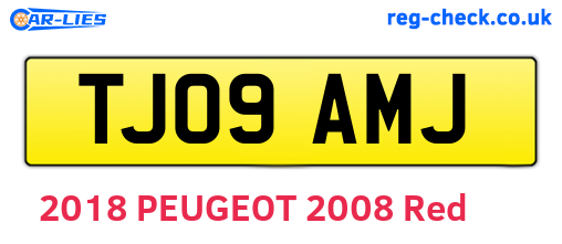 TJ09AMJ are the vehicle registration plates.