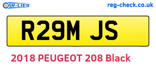R29MJS are the vehicle registration plates.