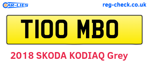 T100MBO are the vehicle registration plates.
