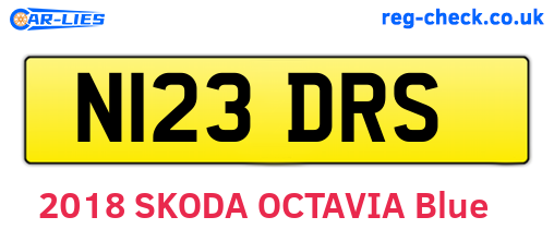 N123DRS are the vehicle registration plates.