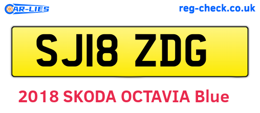 SJ18ZDG are the vehicle registration plates.