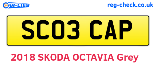 SC03CAP are the vehicle registration plates.