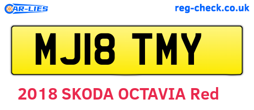 MJ18TMY are the vehicle registration plates.