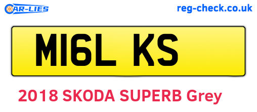 M16LKS are the vehicle registration plates.