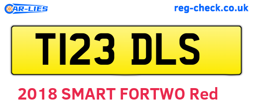 T123DLS are the vehicle registration plates.