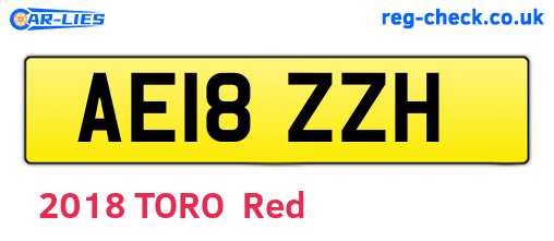 AE18ZZH are the vehicle registration plates.