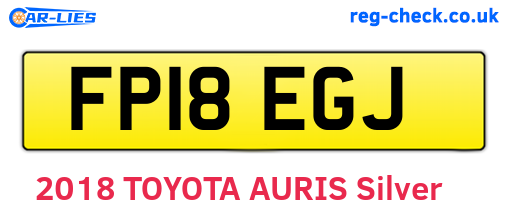 FP18EGJ are the vehicle registration plates.