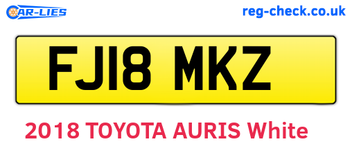 FJ18MKZ are the vehicle registration plates.