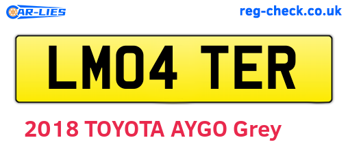 LM04TER are the vehicle registration plates.