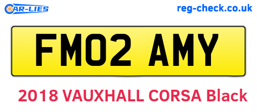 FM02AMY are the vehicle registration plates.