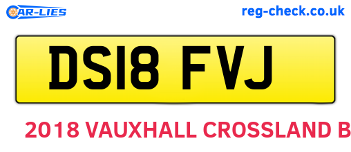 DS18FVJ are the vehicle registration plates.