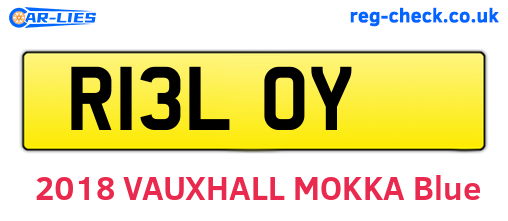 R13LOY are the vehicle registration plates.