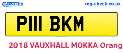 P111BKM are the vehicle registration plates.