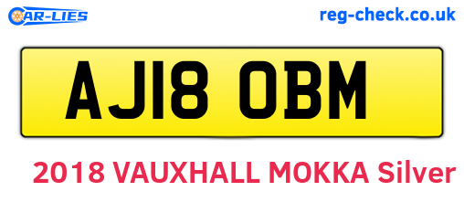 AJ18OBM are the vehicle registration plates.