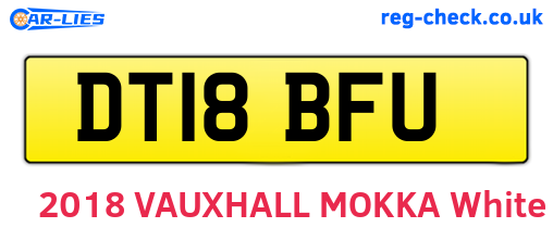 DT18BFU are the vehicle registration plates.