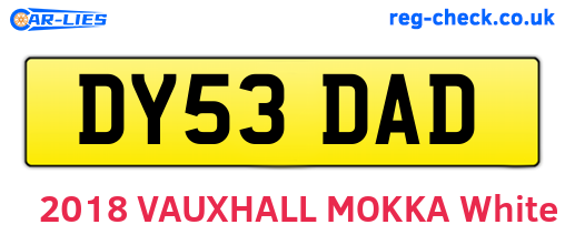 DY53DAD are the vehicle registration plates.