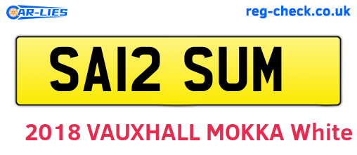 SA12SUM are the vehicle registration plates.