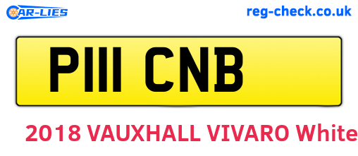 P111CNB are the vehicle registration plates.