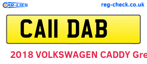CA11DAB are the vehicle registration plates.