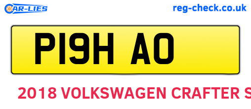 P19HAO are the vehicle registration plates.