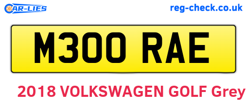 M300RAE are the vehicle registration plates.