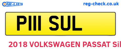 P111SUL are the vehicle registration plates.
