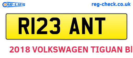 R123ANT are the vehicle registration plates.