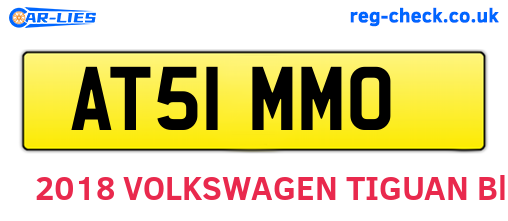 AT51MMO are the vehicle registration plates.