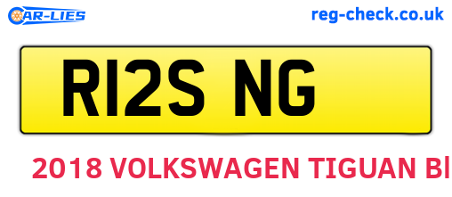 R12SNG are the vehicle registration plates.
