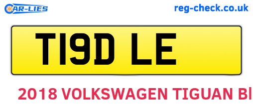 T19DLE are the vehicle registration plates.