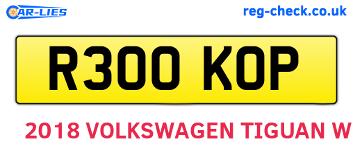 R300KOP are the vehicle registration plates.