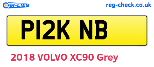 P12KNB are the vehicle registration plates.