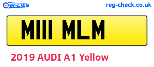 M111MLM are the vehicle registration plates.
