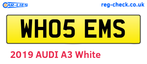 WH05EMS are the vehicle registration plates.