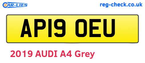AP19OEU are the vehicle registration plates.