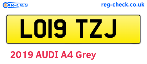 LO19TZJ are the vehicle registration plates.