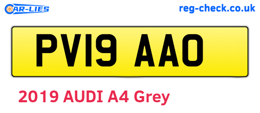 PV19AAO are the vehicle registration plates.