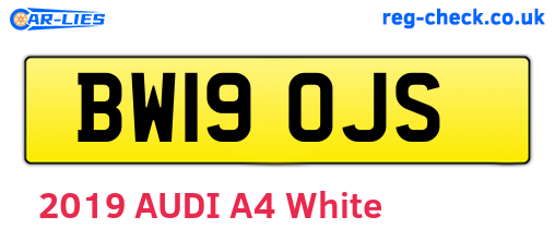 BW19OJS are the vehicle registration plates.