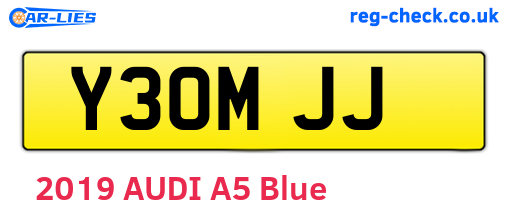 Y30MJJ are the vehicle registration plates.