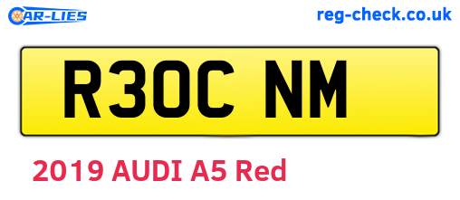 R30CNM are the vehicle registration plates.