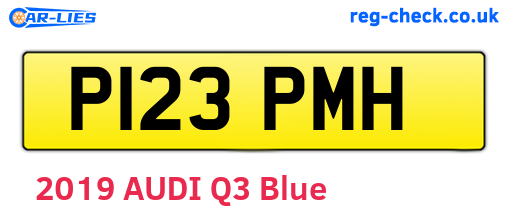 P123PMH are the vehicle registration plates.