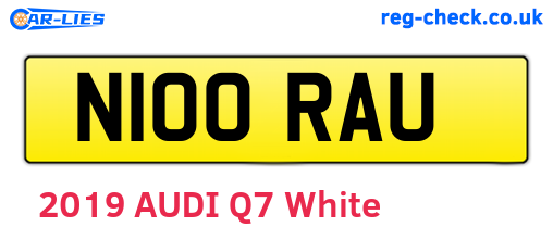 N100RAU are the vehicle registration plates.