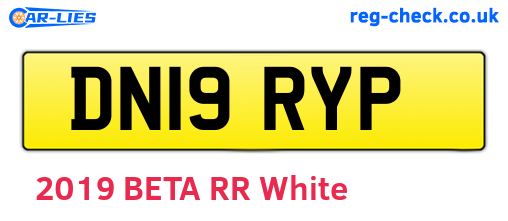 DN19RYP are the vehicle registration plates.