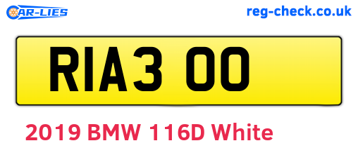 RIA300 are the vehicle registration plates.