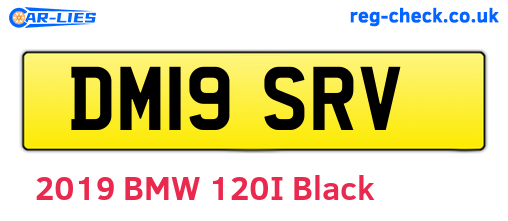 DM19SRV are the vehicle registration plates.