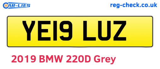 YE19LUZ are the vehicle registration plates.