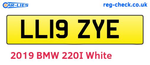 LL19ZYE are the vehicle registration plates.