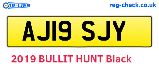AJ19SJY are the vehicle registration plates.