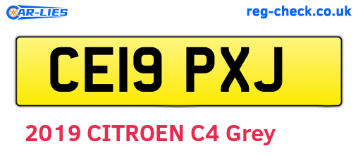 CE19PXJ are the vehicle registration plates.